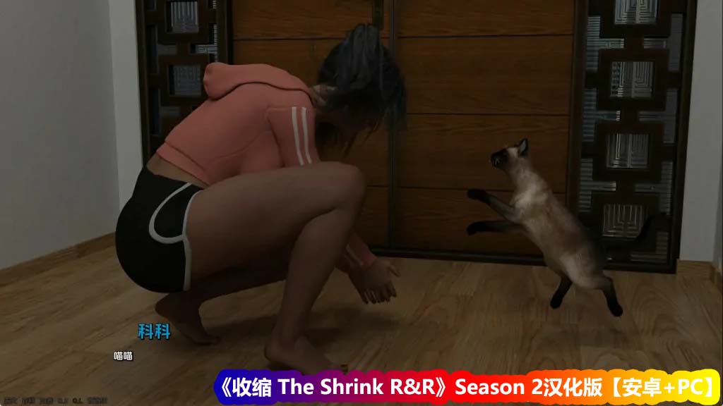 【SLG游戏】收缩 The Shrink R&R S2汉化版【安卓+PC/百度网盘】