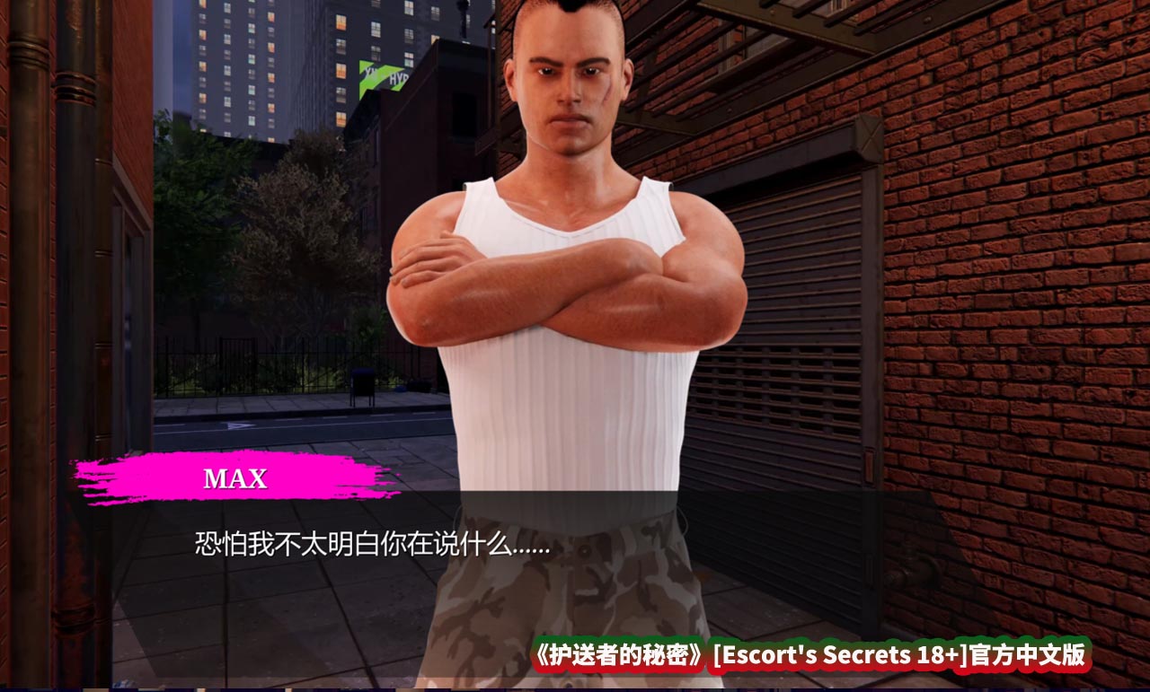 《护送者的秘密》[Escort's Secrets 18+]官方中文版[度盘下载]